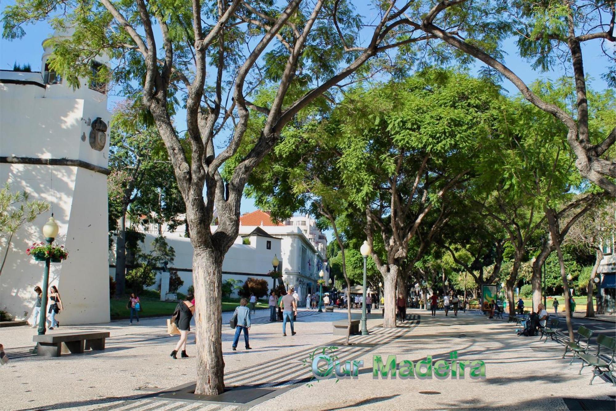 Ourmadeira - Heart Of Old Town II Daire Funchal Dış mekan fotoğraf